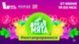Stereoleto и МТС Live проведут бесплатный онлайн-фестиваль в поддержку «Дикой Мяты»