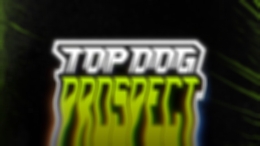 В Москве состоится турнир кулачных боёв TOP DOG: Prospect 6