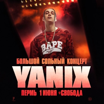 Концерт Yanix