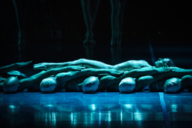 Hamburg Ballet: Сон в летнюю ночь