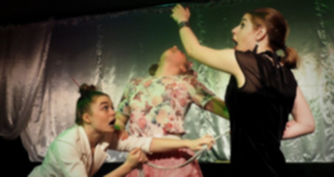 Спектакль «Искусство, или Три женщины на грани нервного срыва»