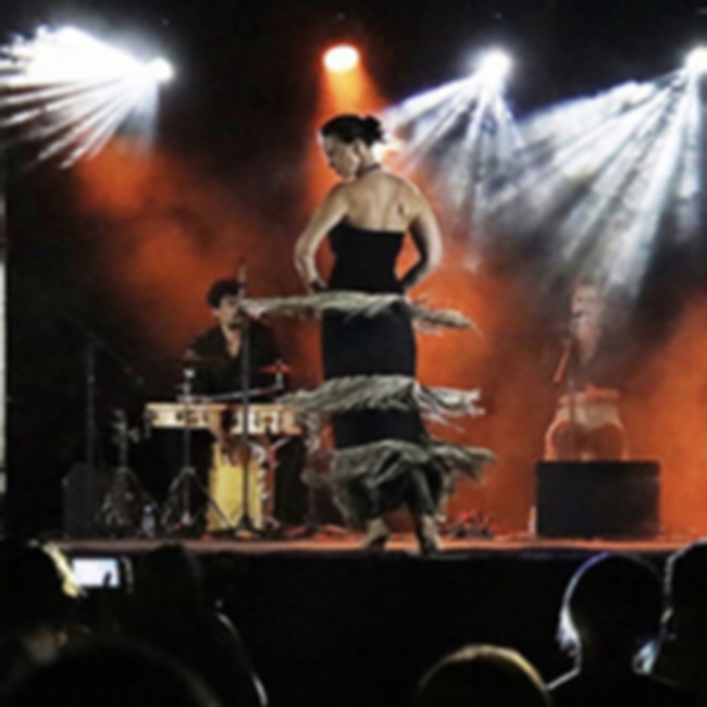 Концерт Katerina Lopez «Огненное фламенко» (Испания)»