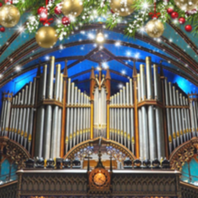 Органный концерт «Новогодние шедевры в Петрикирхе»