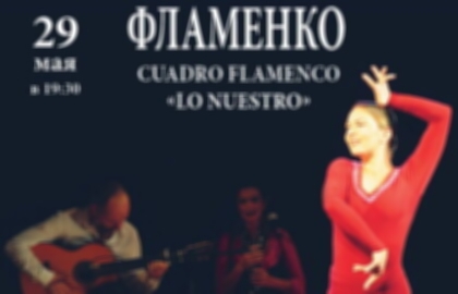 Шоу «Фламенко»