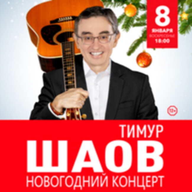 Новогодний концерт Тимура Шаова