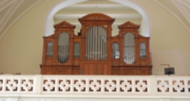 Концерт «Вивальди: концерты для органа и редких инструментов»