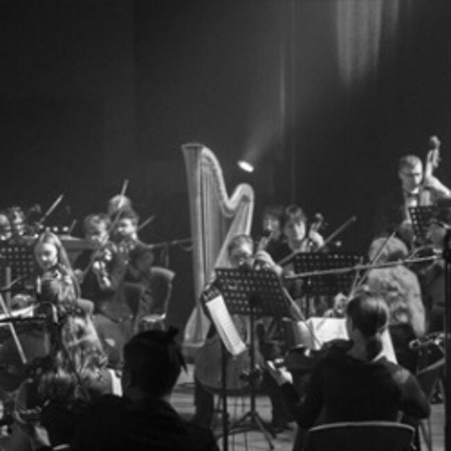 Концерт «Чайковский и музыкальные традиции Австрии»