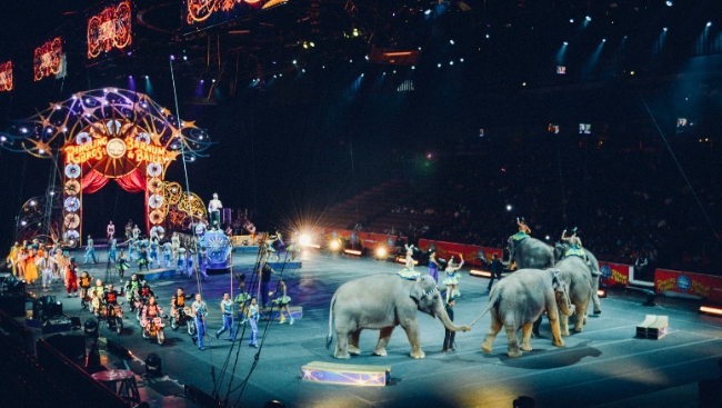 В Цирке на Цветном бульваре отметят день рождения Юрия Никулина