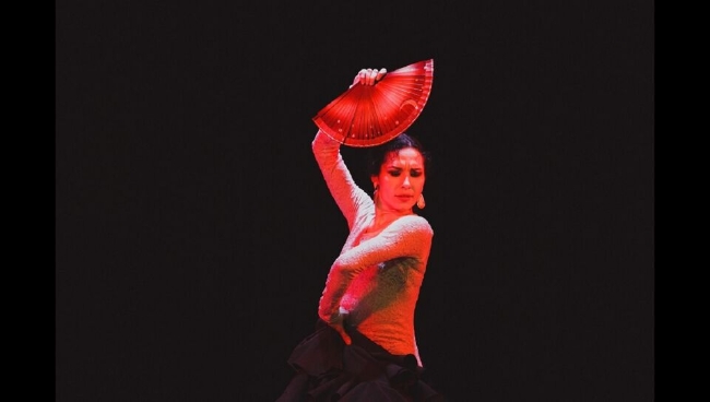 Танцевальное шоу «Фламенко Андалусии»
