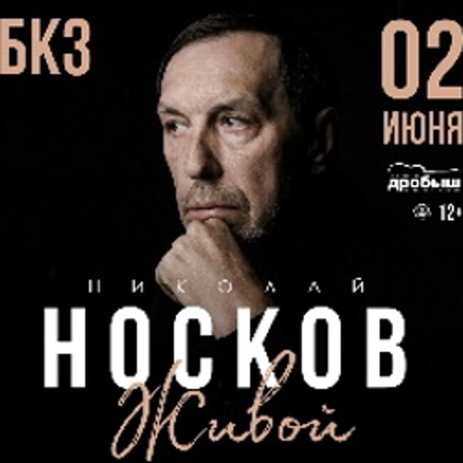 Концерт Николая Носкова