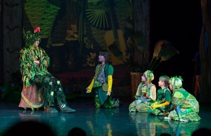 Мюзикл «Школа лесной магии»