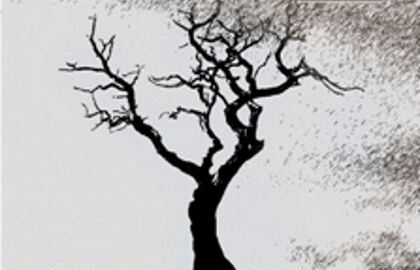 Спектакль «Деревья умирают стоя»