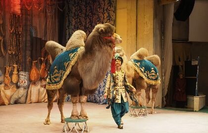 Спектакль «Новогоднее приключение Султана»